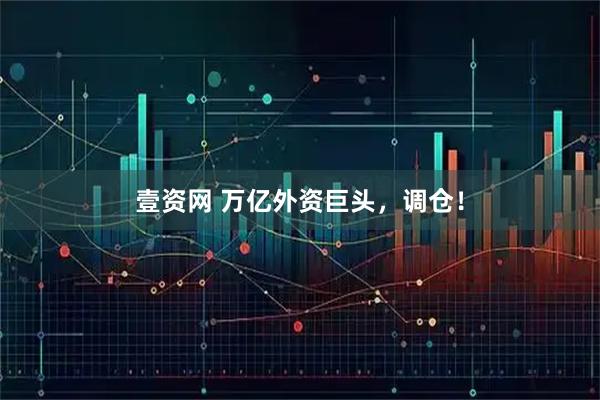 壹资网 万亿外资巨头，调仓！