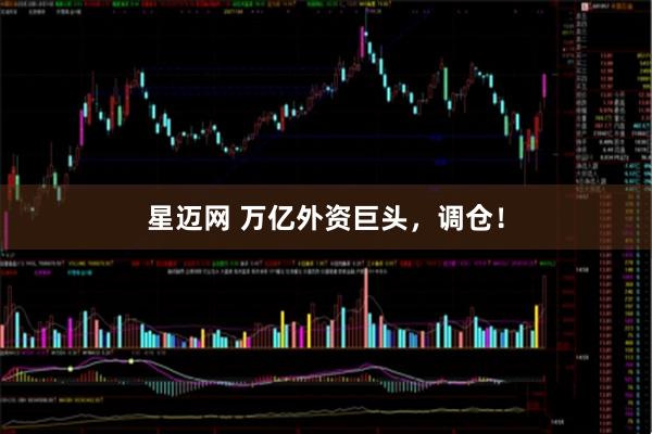 星迈网 万亿外资巨头，调仓！