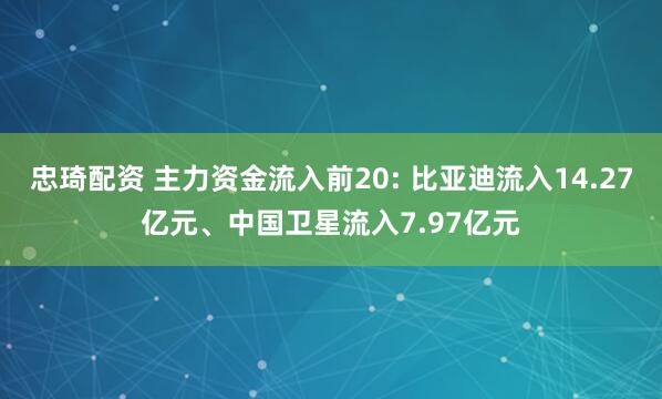 忠琦配资 主力资金流入前20: 比亚迪流入14.27亿元、中国卫星流入7.97亿元