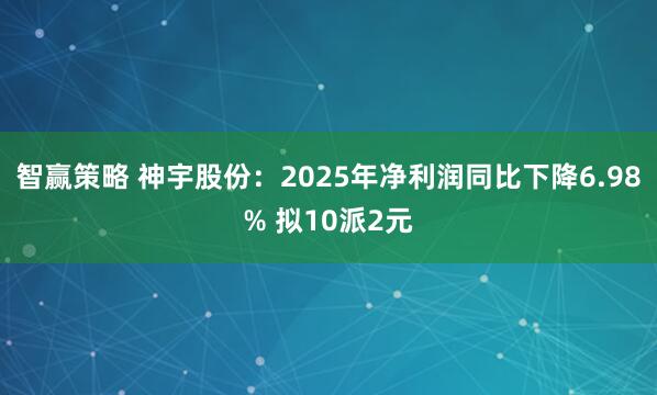 智赢策略 神宇股份：2025年净利润同比下降6.98% 拟10派2元