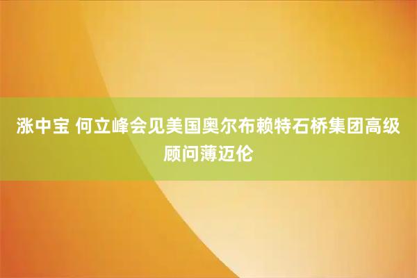 涨中宝 何立峰会见美国奥尔布赖特石桥集团高级顾问薄迈伦