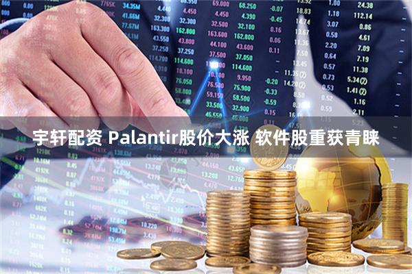 宇轩配资 Palantir股价大涨 软件股重获青睐