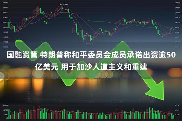 国融资管 特朗普称和平委员会成员承诺出资逾50亿美元 用于加沙人道主义和重建