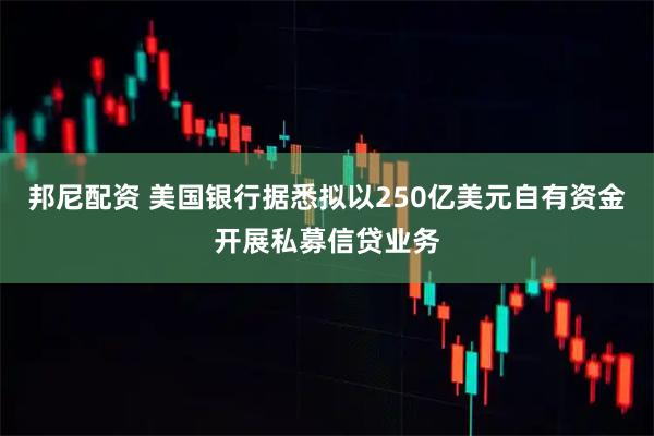 邦尼配资 美国银行据悉拟以250亿美元自有资金开展私募信贷业务