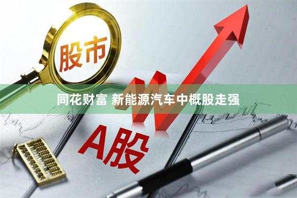 同花财富 新能源汽车中概股走强