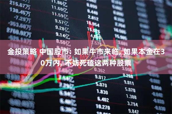 金投策略 中国股市: 如果牛市来临, 如果本金在30万内, 不妨死磕这两种股票