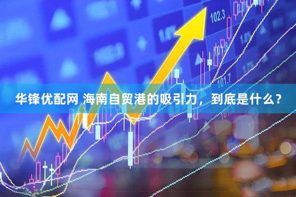华锋优配网 海南自贸港的吸引力,到底是什么?