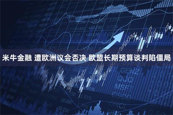 米牛金融 遭欧洲议会否决 欧盟长期预算谈判陷僵局