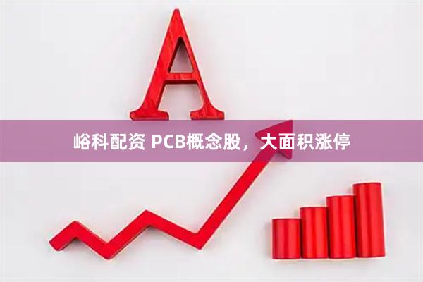 峪科配资 PCB概念股，大面积涨停
