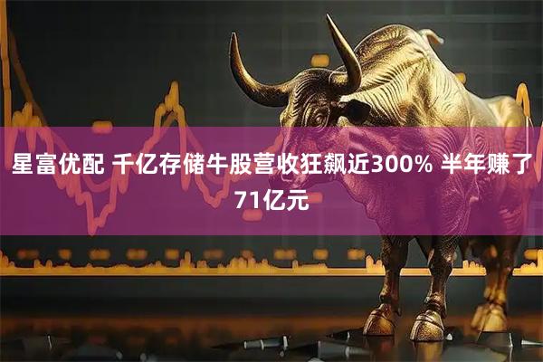 星富优配 千亿存储牛股营收狂飙近300% 半年赚了71亿元