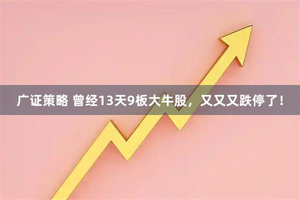 广证策略 曾经13天9板大牛股，又又又跌停了！